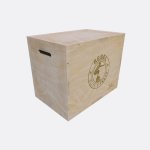 Rebel 3-WAY Plyo Box