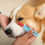 1PC Pet Tear Stain Remover Comb Gentle Dog Eye Comb Brush Dog Eye Excrement Brush Clip