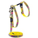 Rogz Catz Reflectocat 11mm Small Reflective Cat H-harness And Lead Combination - Dayglo Bird