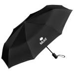 Sleet Auto-open Compact Umbrella - Sage