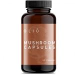 Mushroom 60S