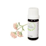 Escentia Spikenard Pure Essential Oil Nardostachys Jatamansi - 20ML