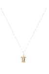 Turtle Necklace
