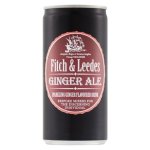 Ginger Ale Can 200ML