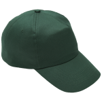 Panel 5 Cotton With Hard Front Cap HW001 Bottle Std