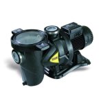 Pool Pump And Motor 1.1KW Dab Euroswim 150M