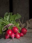 Radish Cherry Belle Seed - 100 G Raw Seed