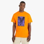 Leaf Men's Lcrd Graphic Orange T-Shirt