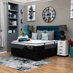 Orthopedic Back Aid Queen Mattress & Base Set