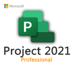 Project 2021 Professional