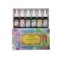 Luxury Fragrance Oils - Set Of 6