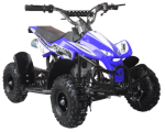 50CC 2T Econo Air Cooled 3HP MINI Quad With Rubber Wheels - Blue 4-10 Years