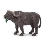 Cape Buffalo By