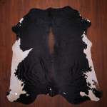 Aa Grade Nguni Hide 623 Tricolor XL - Extra Large Tricolor Panelled