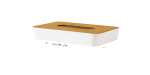 Modern Home Tissue Box