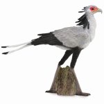 Secretary Bird