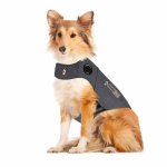 For Dogs - Large