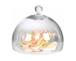 Glass Cheese Dome 20CM H X 22CM W - 20CM H X 22CM W