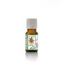 Star Anise Organic Essential Oil - 10 Ml