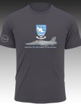 Hawk Mk 120. 85 Combat Flying School