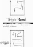 Triple Bond - Essays On Art Architecture And Museums Paperback
