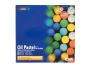 Professional Oil Pastels Set Of 24