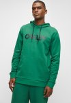 Oakley B1B Po Hoodie 2.0 - Viridian