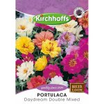 Kirchhoff’s Picture Packet Flower Seeds Portulaca Daydream Double Mixed