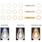 LED Ring Light 25.4CM With Tripod Stand & Phone Holder For Live Streaming & Video Dimmable Desk Makeup Ring Light For Photograph
