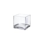 Square Glass Vase - 6X6X6