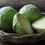 Cabbage Head