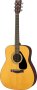 Instruments F310 Folk Guitar