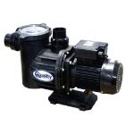 0.75KW Pump And Motor Swimflo 2