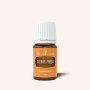 Citrus Fresh Essential Oil Blend - 5 Ml