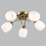 White And Gold Metal Resin And Wrought Iron Chandelier – CH489 5