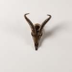Impala Skull Medium - Bronze