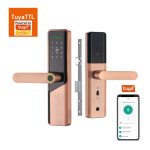 Biometric Smart Door Lock - S037