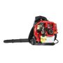 Red Rhino Leaf Blower Backpack 43CC