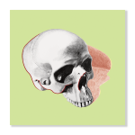 Pop Skull 2 Art Print - A4