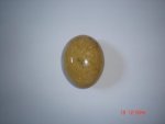 Ocean Jasper Free Form SSP82