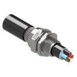 NO.10 Swa Gland 050310