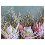 Deep Pink King Protea Fleece Blanket