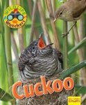 Wildlife Watchers: Cuckoo 2017 Paperback