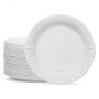 100 Packages Paper Plates 23CM - 9INCH Paper Disposable Party