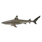 Sealife Blacktip Reef Shark