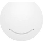 Duxbury 240AP Ceiling Mount AC1200 Access Point