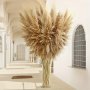 12pcs Large 109.22cm Fluffy Pampas Grass - Perfect For Boho Weddings Home & Outdoor Decor | Ideal For Fall Winter Christmas Halloween Thanksgiving