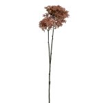 - Crown Pink - 81CM