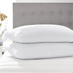 2 Standard Hollow Fibre Pillows