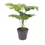 Artificial Plant Delicious Monster